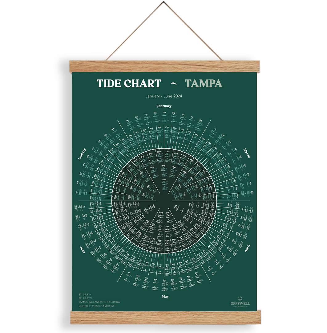 Tampa Offswell